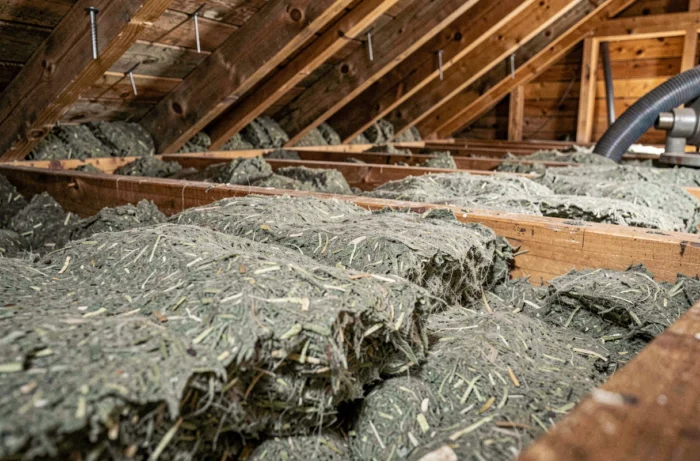 Gros plan sur la ouate de cellulose soufflée entre les solives d'un plancher de combles pour une isolation thermique efficace